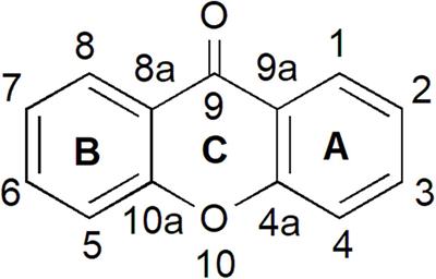 <mark class="highlighted">Xanthone</mark> Biosynthetic Pathway in Plants: A Review
